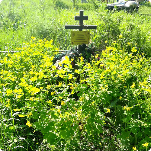 Аксессуары для благоустройства захоронений | Покос травы